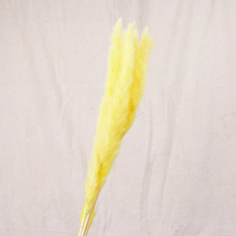 30pcs Small Pampas Grass Bulrush Natural Dried Phragmites Christmas Home Decor Diy Dried Real Flowers Bouquet Flower Arrangement