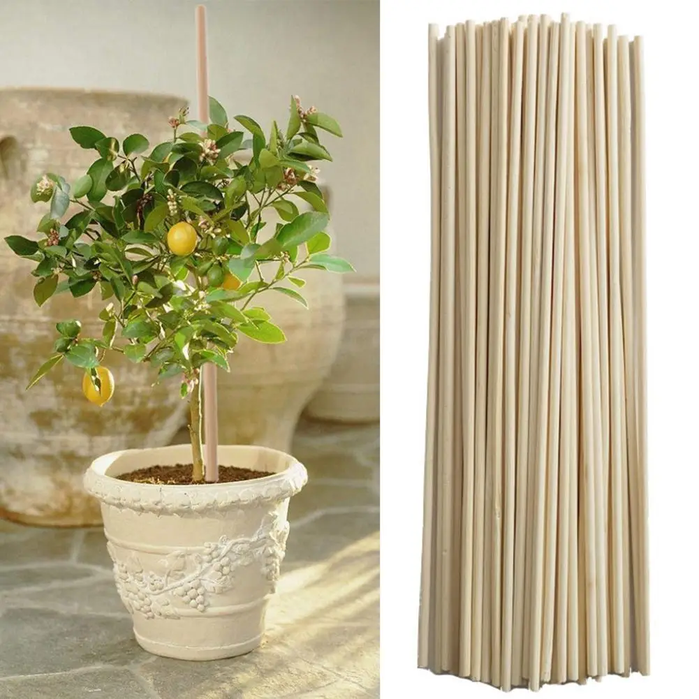 50pcs Di Bambu Pianta Crescere Supporto Spiedi Giardino Di Fiori In Vaso Delle Canne Rod Strumenti Gabbiette Per Piante E Supporti Aliexpress