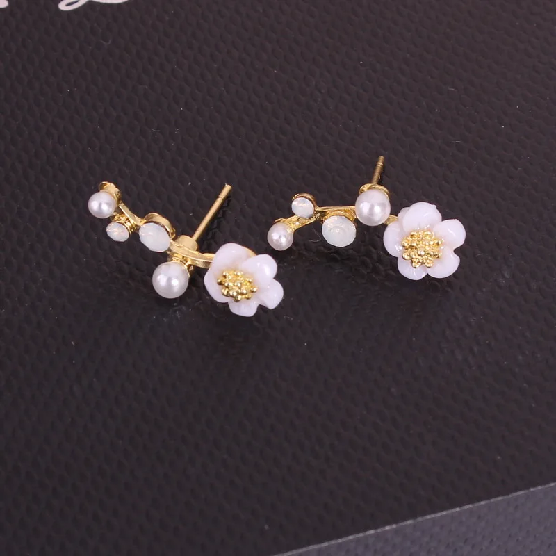 6K4_9308973793_1548632509