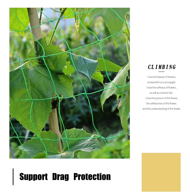 O1CN01rLjJj91JMuXpYo2XN_!!1602131015