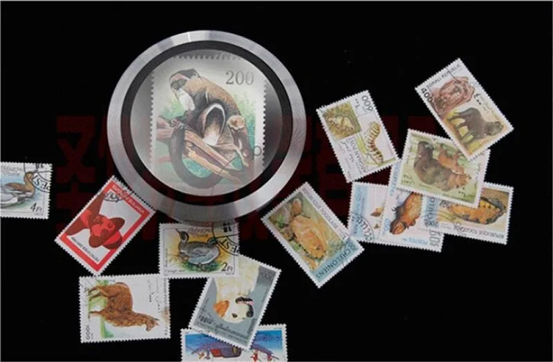 HTB1fT24PVXXXXc6aFXXq6xXFXXXC