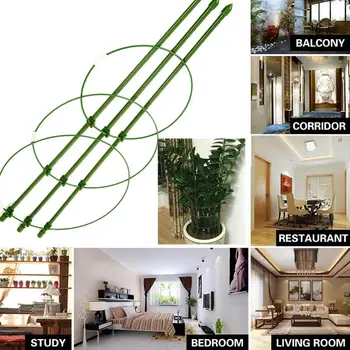 

Plant Support Frame Tomatoes Gardening Tools Eggplants Durable Creative Vine Climbing Rack 60cm Flower Decorative Tomato Plants