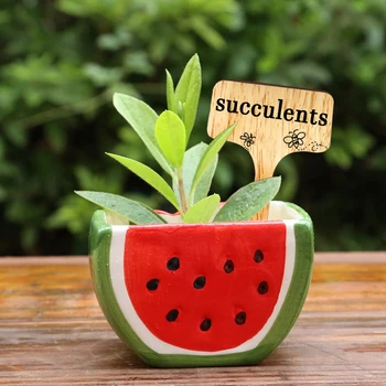 

50 Pcs Wooden Potted Seed Sign Tags Herbs Tray Insert Sticks Easily Carrying Marker Garden Flowers Part Eco-friendly Tool