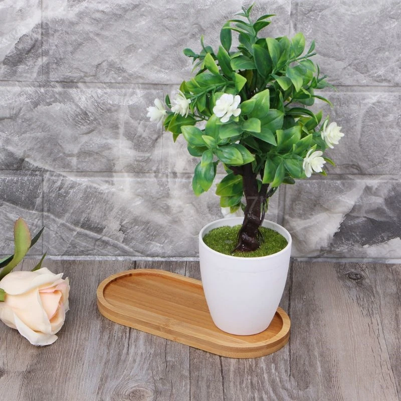 Oval-Shape-Bamboo-Wood-Saucer-Plant-Tray-Mini-Plant-Flower-Pot-Stand-Favor-Succulent-Pot-Tray.jpg Ovális Formájú Bambusz Fa Csészealj Növényi Tálca Mini Pot Állványa Kedvelt Zamatos Edény Egyszerű, Elegáns Dizájn Dekoráció - Image 5