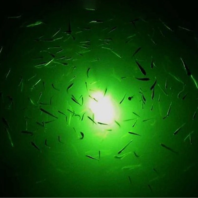 Новинка, 12 В, 8 Вт, подводный ночной рыболовный светильник, 90 светодиодов, светильник для ловли рыбы, приманка для кальмара, светильник для ловли карпа