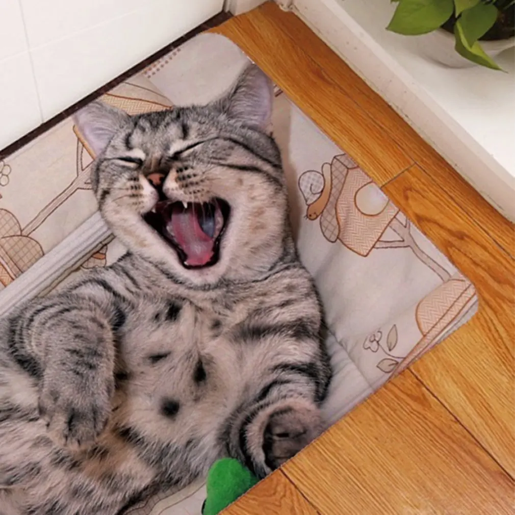 3D Kawaii Cat Print Добро пожаловать Коврики для спальни прихожей ковер Противоскользящий мягкий коврик для гостиной кухни