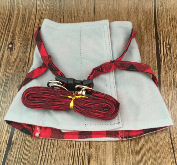 3764504635_1409840576