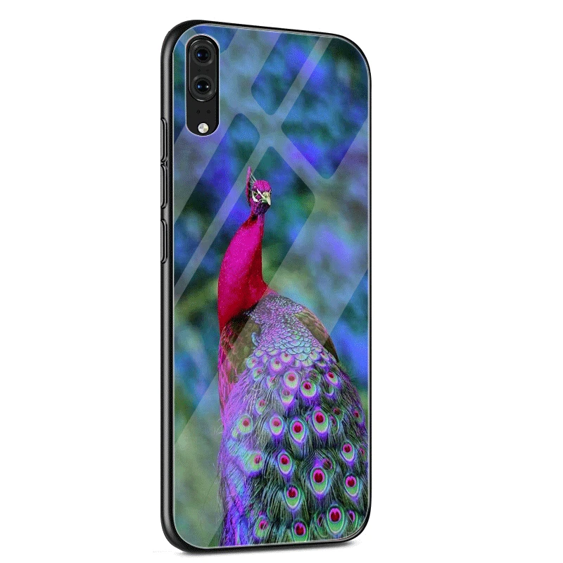 G9 Чехол для телефона из стекла ТПУ для huawei P10 P20 P30 Lite Pro P Smart mate 10 20 Lite Y6 Y9 Honor 7A 8X9 10 чехол с павлином - Цвет: G9