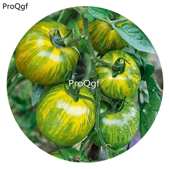 

Ngryise 6000Pcs A Set Green Zebra Tomato