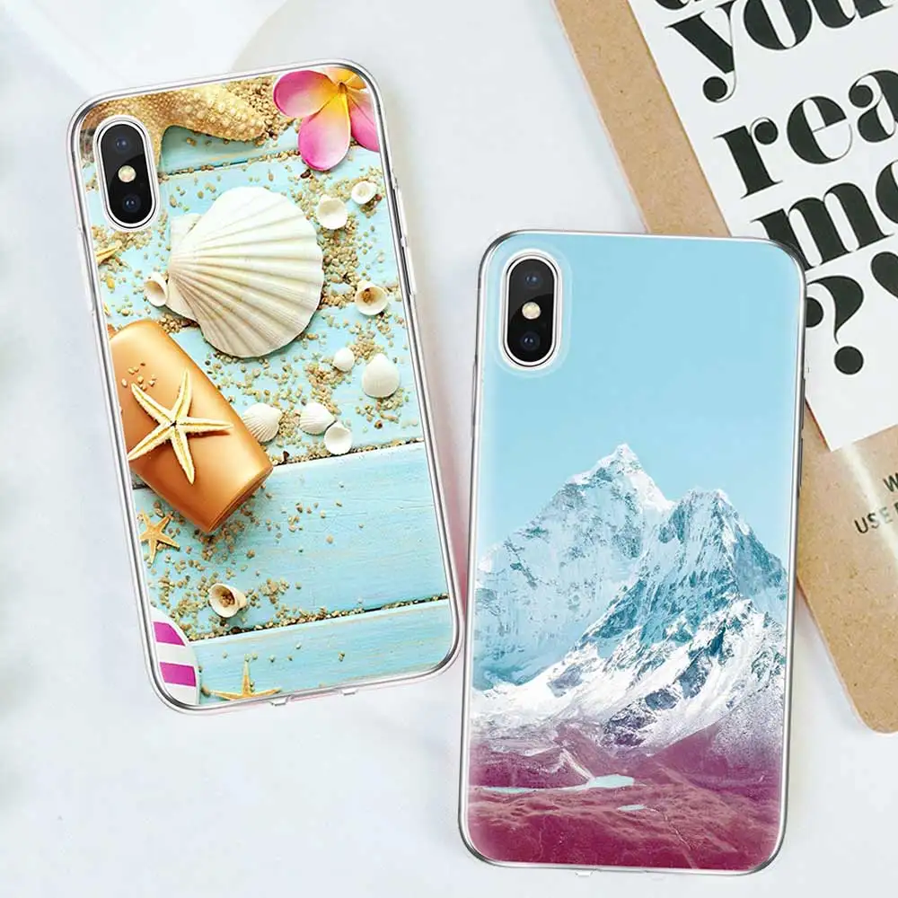 海星贝壳、红色冰山-3