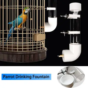 

Pet Bird Feeding Durable Firm Bird Water Feeder Plastic Automatic Drinking Device Birds Parrot Drinking Fountain Birds Supplies