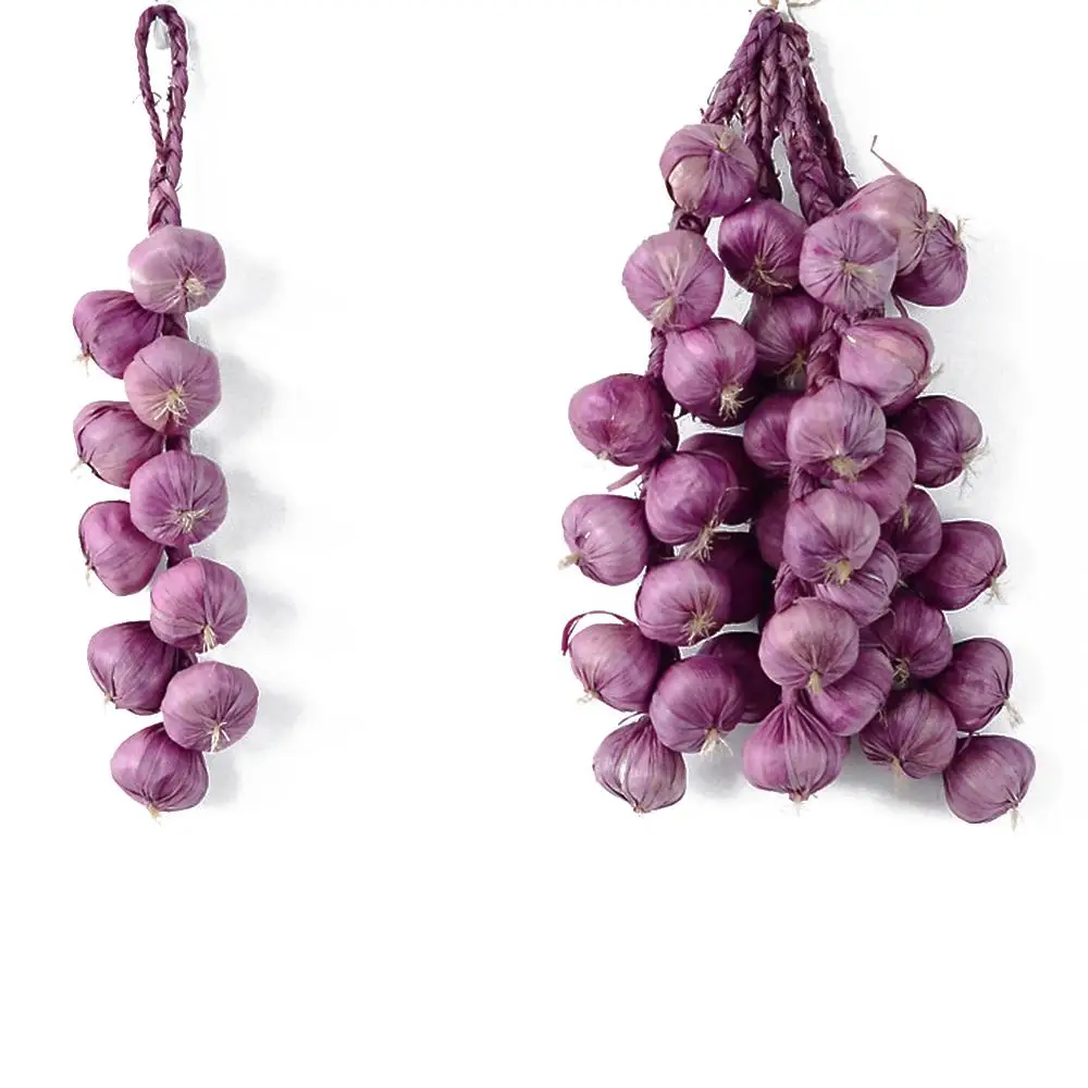 0a6b4ce79b632949831e042225e4192ddf4deb7e_original