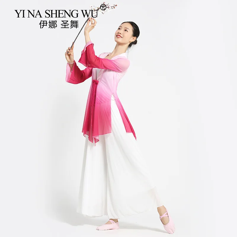 Robe de danse classique chinoise pour femme, cardigan transparent, jupe  longue en gaze, jupe-pantalon dégradée en Y, costume de performance imbibé  - AliExpress