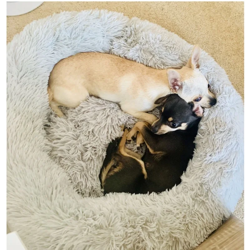 Removable Donut Long Plush Pet Dog Bed Kennel Round Bed Winter Warm Sleeping Lounger House Soft for Medium Large Dogs Washable Removable Donut Long Plush Pet Dog Bed Kennel Round Bed Winter Warm Sleeping Lounger House Soft for Medium Large Dogs Washable