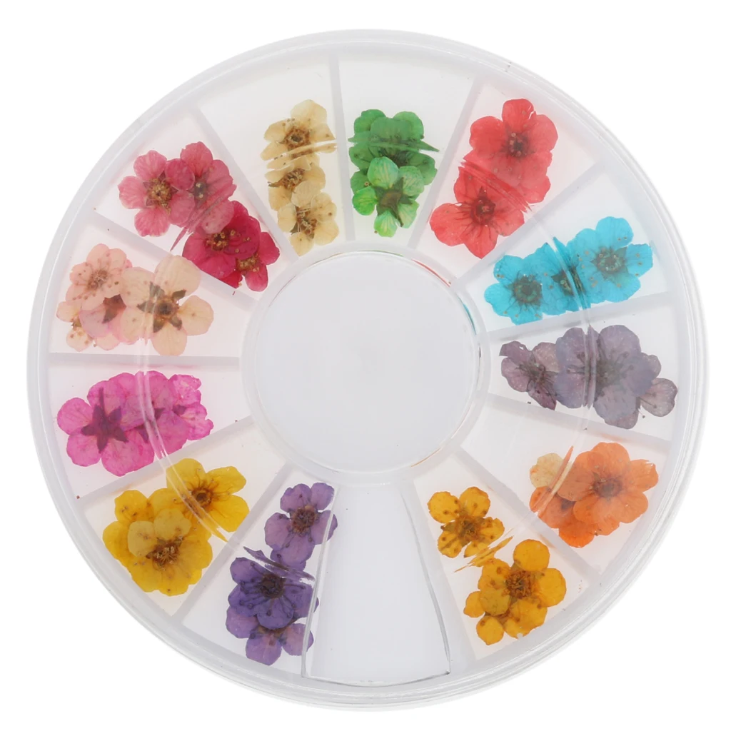 12 Colors Real Dry Dried Flower for 3D UV Gel Acrylic False Tips Nail Art Salon