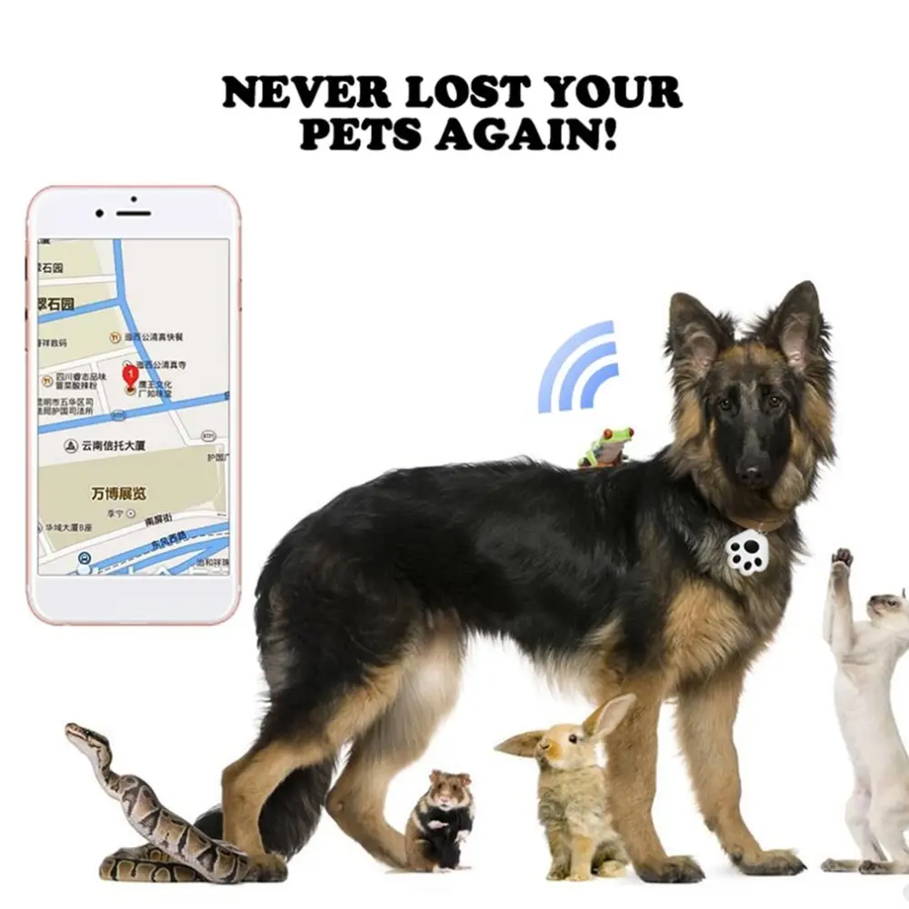 WL726301-C-55555578-1