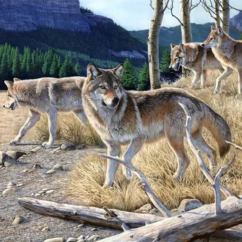 

Diamond Painting Animal Lion Wolf 5d Diy Mosaic Full Square Round Drill Diamant Of Rhinestone Daimond Embroidery Pictures Sale