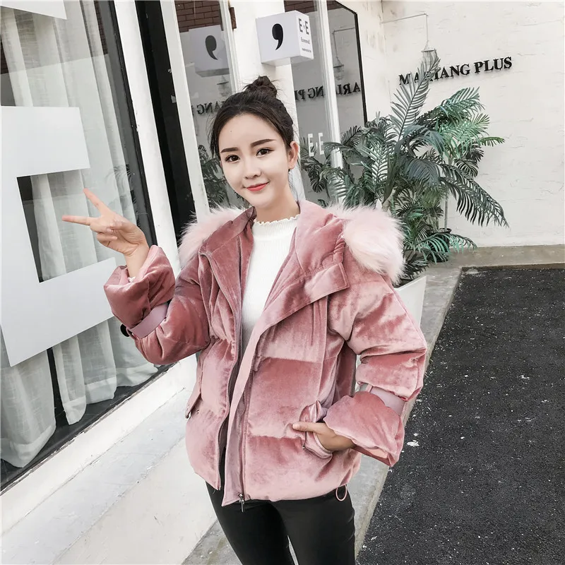 Photo Shoot Winter New Style Korean-style Short Hooded Large Fur Collar down Feather Cotton-padded Clothes WOMEN'S Dress Thick d