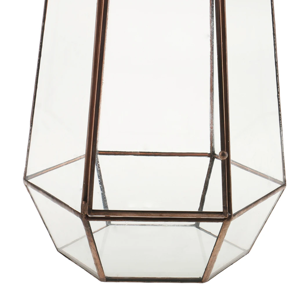 Geometric Fern Moss Succulent Glass Terrarium Plant Pot Box for Christmas Decor