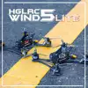HGLRC Wind5 Lite Analog Zeus F722 Mini 45A 350mW Foxeer Predator Nano 5 2207.5 2550KV 4S 1700KV 1900KV 6S TrueX RC FPV Drone 2