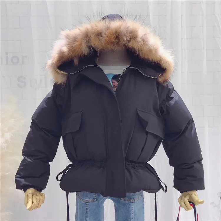 HTB11ujUbRyWBuNkSmFPq6xguVXaH_____________________________________