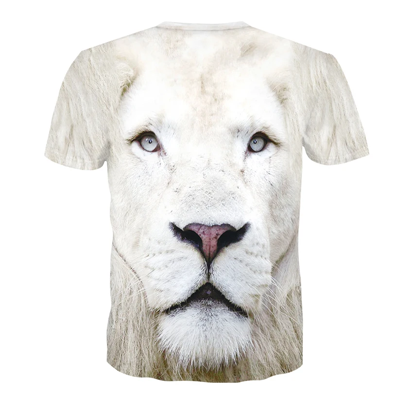 D-100-凯诚T恤短袖模版-后