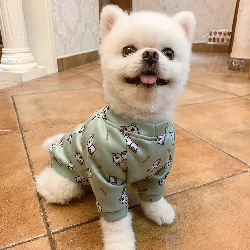 考拉圆领衫-绿色10