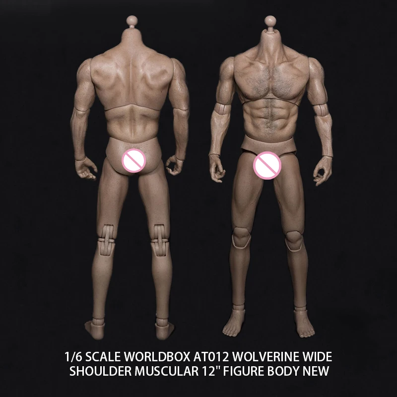 1//6 Scale WorldBox AT012 Wolverine Wide Shoulder Muscular 12/" Figure Body New