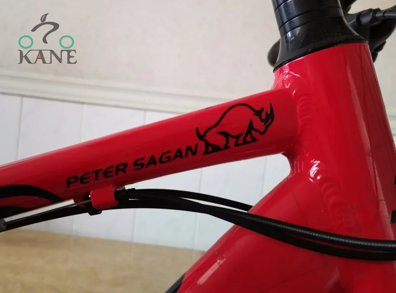 Pegatinas para bicicletas personalizadas