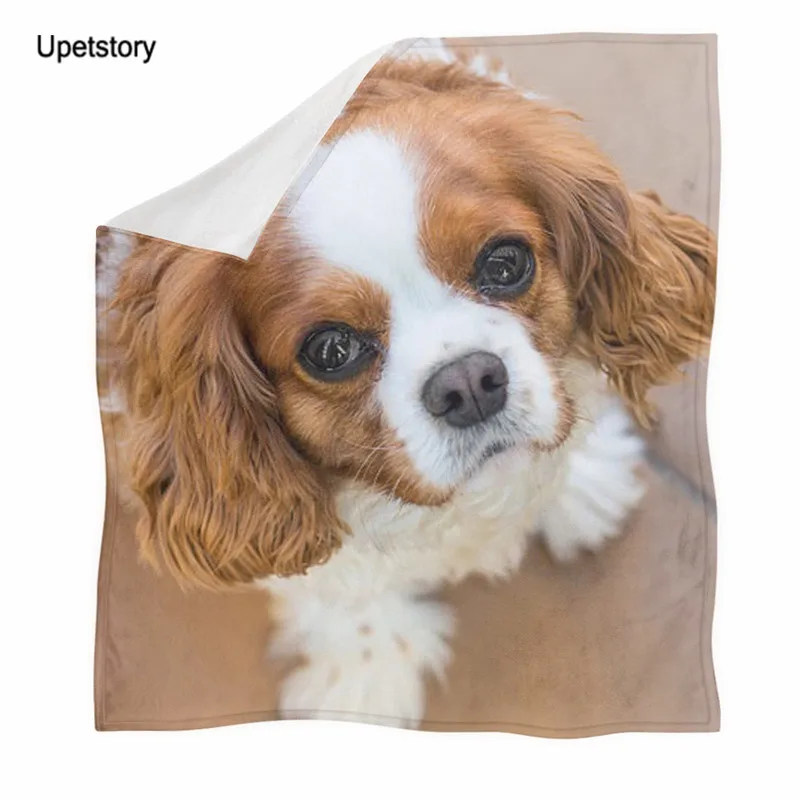 

Upetstory Sherpa Warmth Throw Blanket Charles and Bernese Dog Printed Bedspread Flannel Fleece Plush Blanket on Sofa/Couch