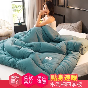 

High grade duvet comforter thick cotton feather velvet winter warm spring autumn quilt core duvet goose down bedding blanket