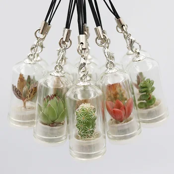 

1PC Simulation Bonsai Flower Keyring Succulent Plant Keychain Green Plant Phone Pendant Micro Landscape Pendant Bottle Key Chain