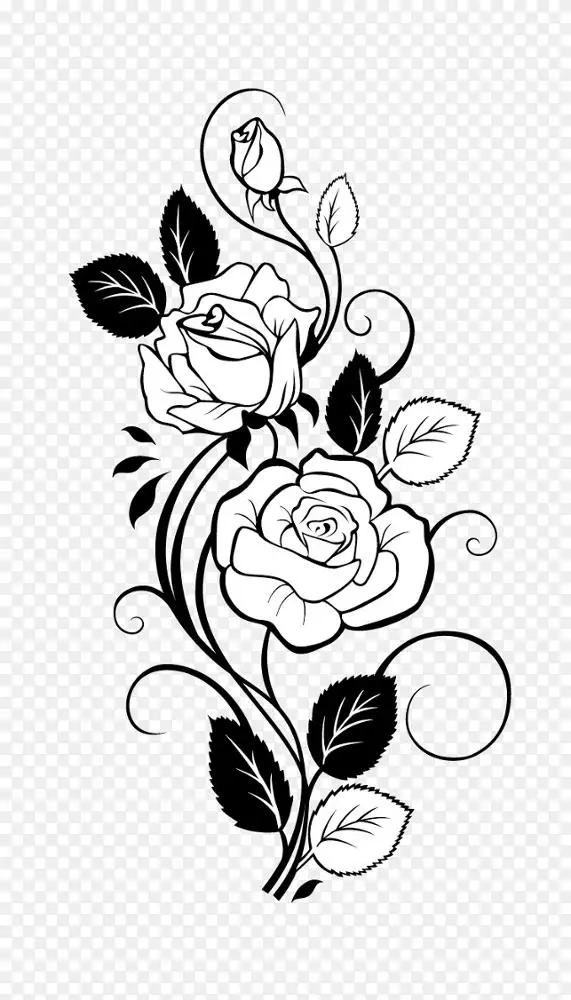 玫瑰画藤剪贴画-玫瑰