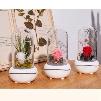 

Creative-Preserved Fresh Flower Fragrance Lamp Colorful Ambience Light USB Aroma Diffuser Household Gift Birthday Gift