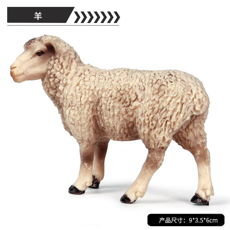 10779460430_1464955482