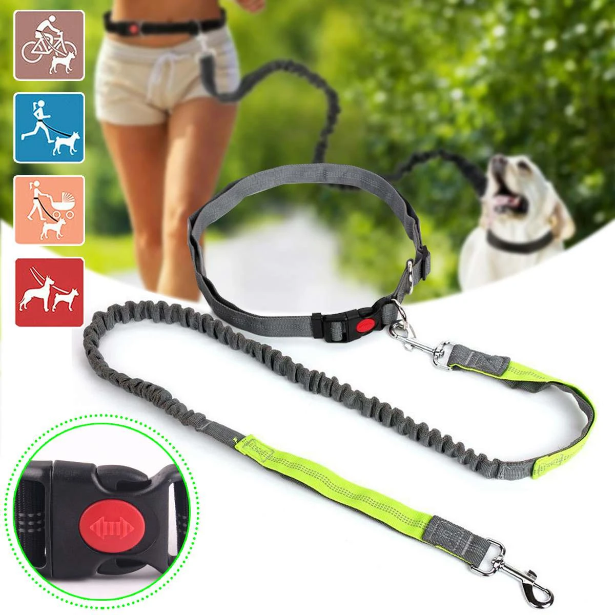outdoor dog leash run