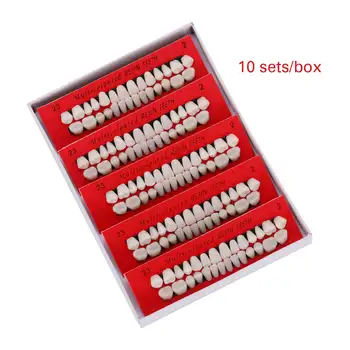 

10 Set (280 pcs) Dental Plastic Teeth Model A2 Dedicated Tooth Box for Teaching Study Model Dental Lab Teeth Care Tool