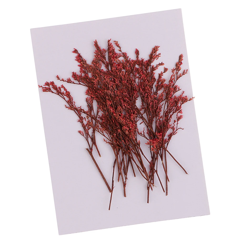 20 Pieces Dyed Red Limonium Dried Flowers Embellishments for DIY Phone Case Decoration Handmade Resin Casting Ornament 7-10cm