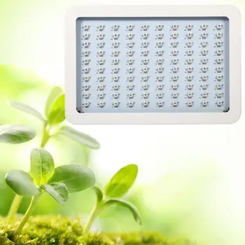 

1000W Factory Full Spectrum LED Grow Greenhouse Garden Under Greenhouse With Lamp AU Plug