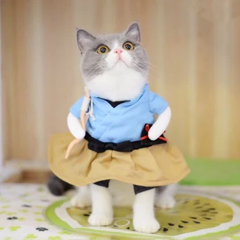 

Funny Urashima Taro dog clothes pet cat dog coat puppy Christmas Easter clothes Chihuahua bulldog puppy winter clothes