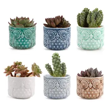 

Ceramic Owl Succulent Cactus Plant Pot Set Full Color Set of 6, Home Office Decor Desktop Windowsill Wedding Bonsai Pots Gift