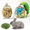 Parrot Shredder Bird Toys Stainless Steel Cage Bird Feeder Paper Foraging Vegetable Millet Basket Container For Cockatiel Conure 1
