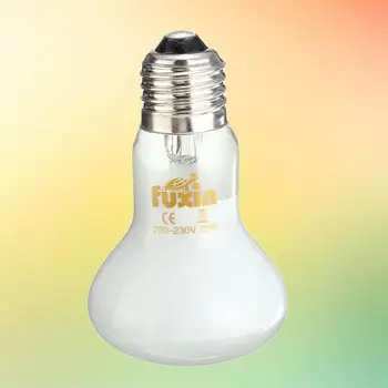 

Hot Sale White E27 100W Pet Planting Heating Grow Lamp Reptile Brooder