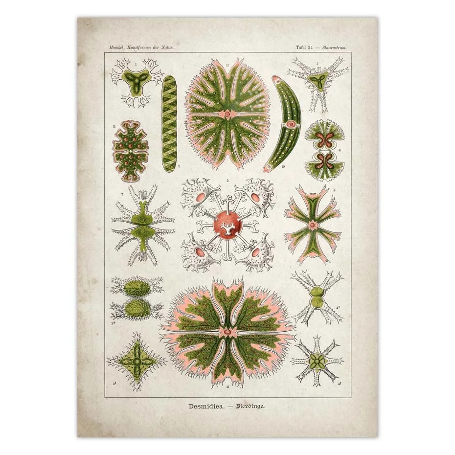 H7f02093de3af4714a6b7a546c65bdcddB