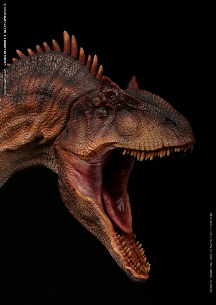 A ALLOSAURUS бюст Коллекционная Голова Статуя мус010а/б серии музейных игрушек исключительный кран 12 ''Статуэтка - Цвет: A