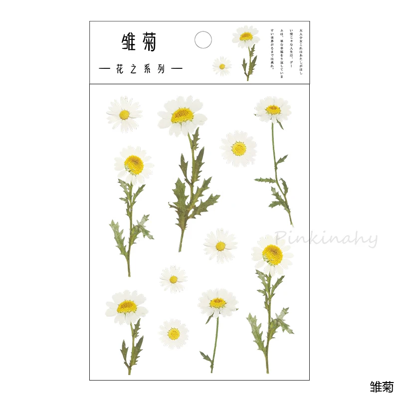 Vintage Stickers Leaves Eucalyptus Bullet Journal Vintage Translucent PET Plants Flower Pattern DIY Stickers Scrapbooking - Цвет: 1