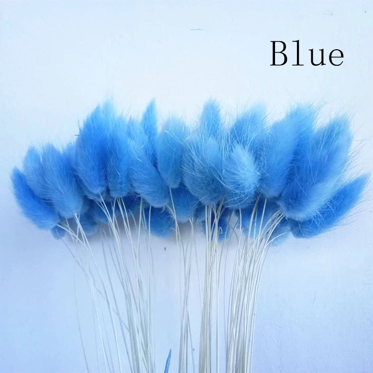 30 шт./лот, градиентный букет из натуральных сушеных цветов с изображением лагуруса оватуса, свадебные украшения для дома, Кролик хвост, трава, настоящие цветы - Цвет: Blue