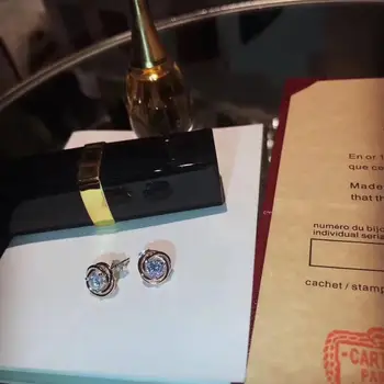 

Luxury Famous Brand Vintage Stone Classical Fashion Titanium Steel Love Earrings Women Men Pulseira Gift Party