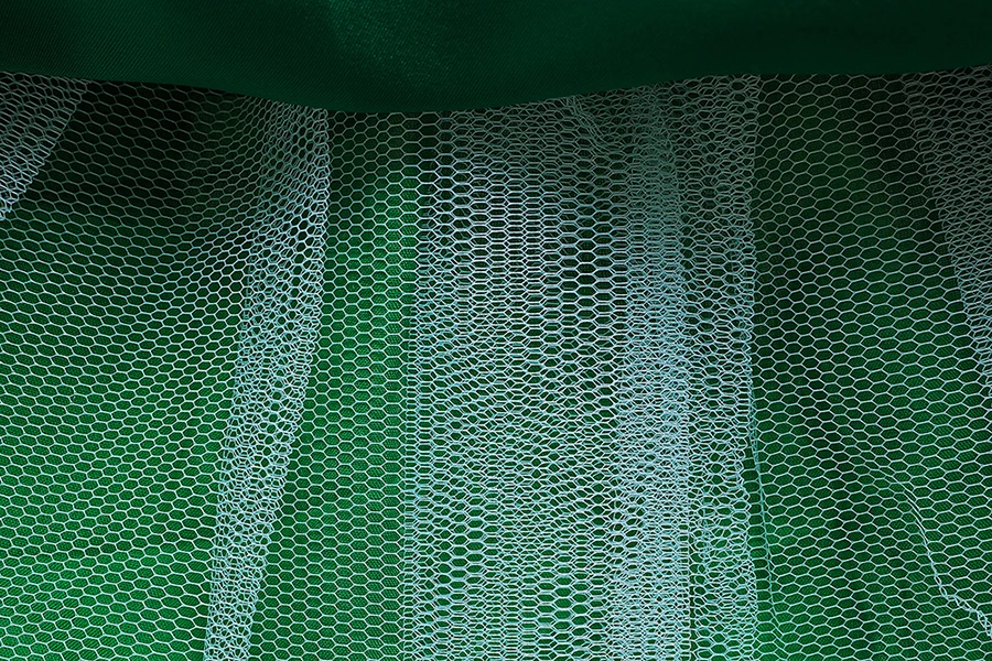 IMG_3487