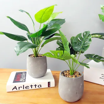 

Simulation Plant Cement Pot Turtle Back Leaf Potted Desktop Decoration Potted Simulation Plant Festival Gifts